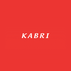 Kabri International LLC